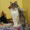 Отзыв от Клара Копылова